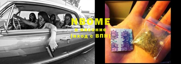 каннабис Новозыбков