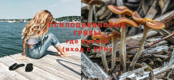 каннабис Новозыбков