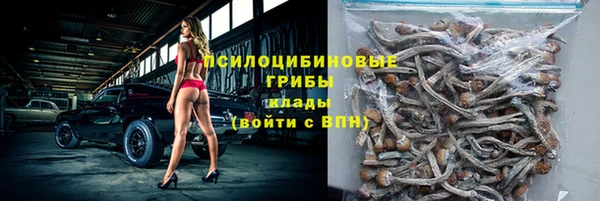 каннабис Новозыбков