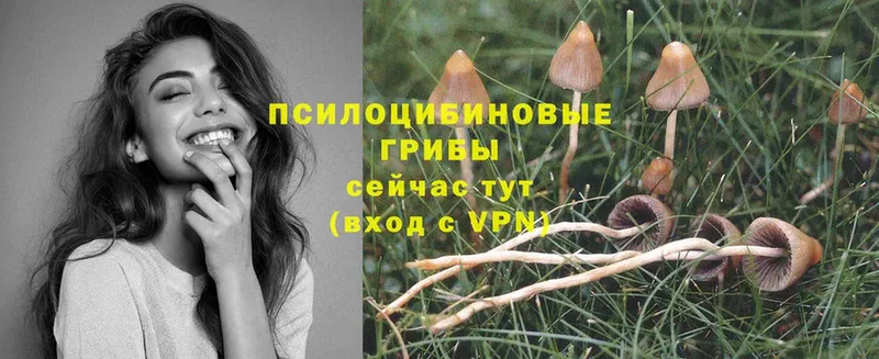 Псилоцибиновые грибы Psilocybine cubensis  MEGA как зайти  Усолье-Сибирское  где найти наркотики 