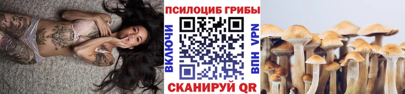 Псилоцибиновые грибы GOLDEN TEACHER  купить  цена  Усолье-Сибирское 