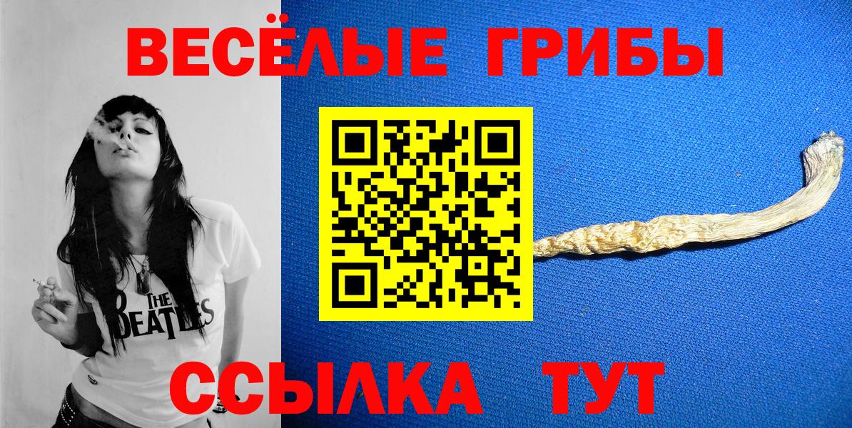 Псилоцибиновые грибы GOLDEN TEACHER Усолье-Сибирское