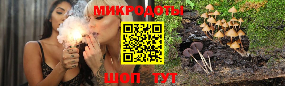 Галлюциногенные грибы GOLDEN TEACHER Усолье-Сибирское